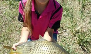 o/10 Sussies ken van Hengel